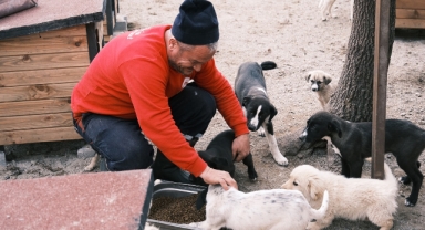 Adapazarı’nda Hayata Değer Katan Bir İş Birliği Daha: Hastane Gıda Fazlalıkları Hayvan Barınağına