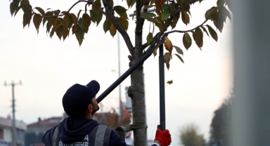 Büyükşehir Sakarya’yı Yaza Hazırlıyor