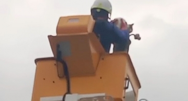 SEDAŞ ekipleri direkte mahsur kalan kediyi kurtardı