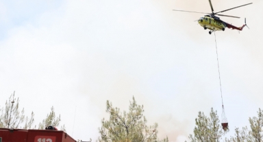 Sakarya'daki Orman Yangınında Son Durum: 2 Mahallede Tahliye İşlemleri Başladı