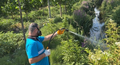 Dere Yatakları, Kanallar, Bataklıklar Ve Göletlere Tek Tek Ulaşıyorlar