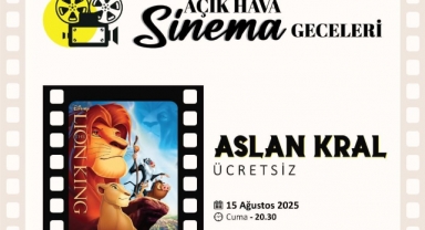 Açık Hava Sinema Geceleri Serdivan'da Devam Ediyor