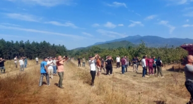 Akyazı'da Ormanlık Alanda Yangın: Müdahale Sürüyor!