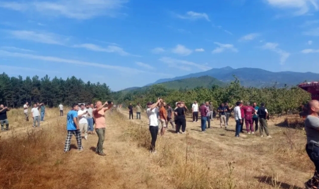 Akyazı'da Ormanlık Alanda Yangın: Müdahale Sürüyor!