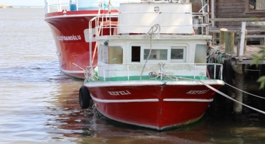 Karasu'da Av Sezonu Başlamadı!