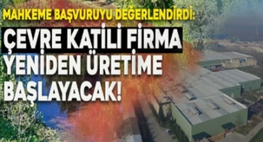 Mahkeme Başvuruyu Değerlendirdi: Çevre Katili Firma Yeniden Üretime Başlayacak!
