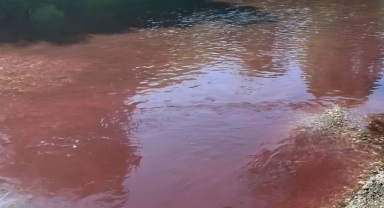 Mudurnu Deresi Kirliliği İçin Denetimler Sürüyor, Fabrika Faaliyetleri Durduruldu