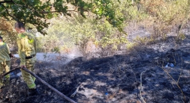 Ormanlık Alanda Çıkan Yangın Büyümeden Söndürüldü