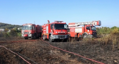 Ormanlık Alanda Korkutan Yangın: Mahalleli Sokağa Döküldü