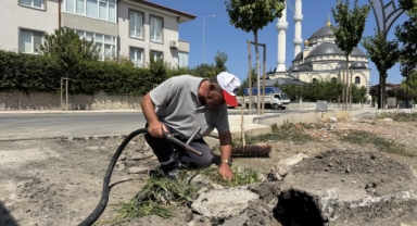 Sultan Sokak'ta Altyapı Ve Asfalt Çalışmaları Tam Gaz