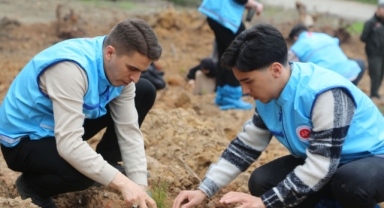 TDV’den “1 İyilik 1 Fidan” Projesiyle Fidan Seferberliği