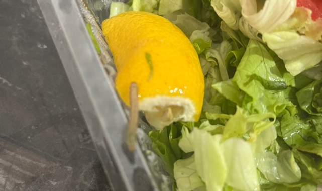 Yemek Yerken 2 Kere Düşünün! Sipariş Veren Aile Şok Yaşadı!