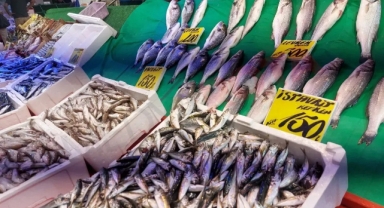 Çeşit Çeşit Balıklar Tezgahlarda Yerini Aldı!