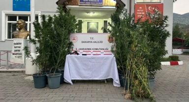 Sakarya'da Uyuşturucu Operasyonu!