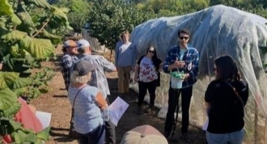 ABD’de Kahverengi Kokarca İle Mücadeleyi Anlattı