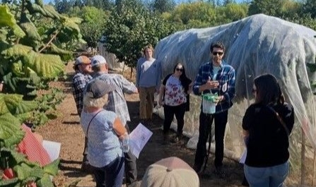 ABD’de Kahverengi Kokarca İle Mücadeleyi Anlattı