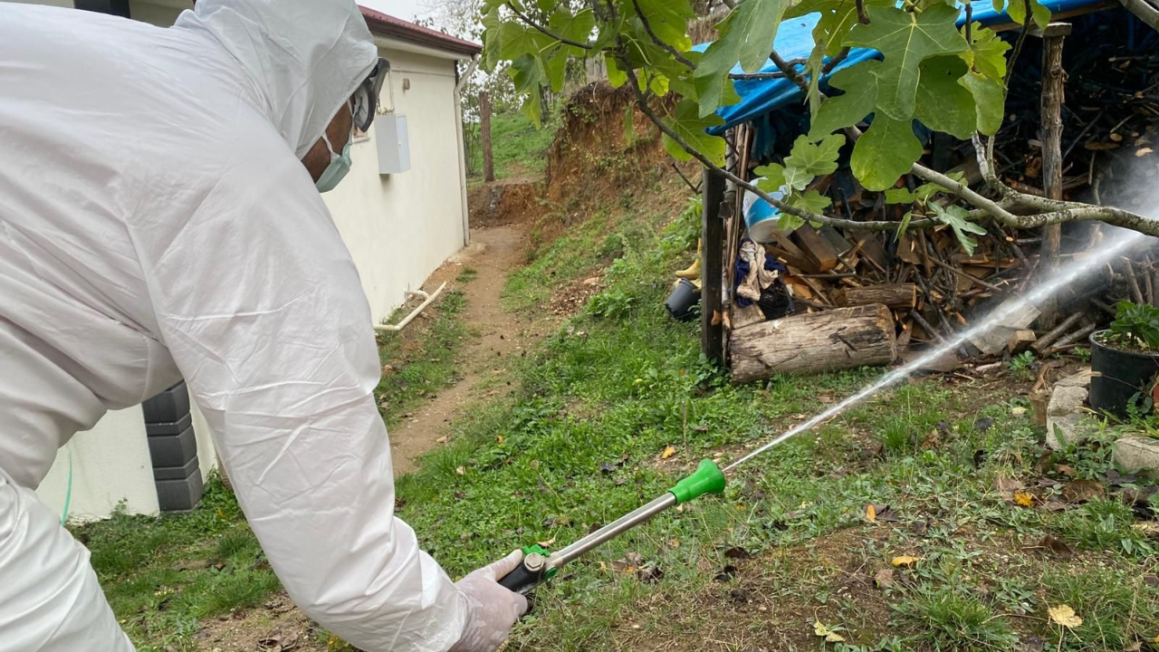 Erenler’de Kokarcaya Yönelik Etkili Mücadele Devam Ediyor