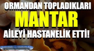 Ormandan Topladıkları Mantar Aileyi Hastanelik Etti: 2 Kişi Yoğun Bakımda