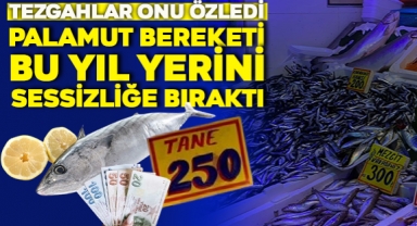 Palamut Bereketi Bu Yıl Yerini Sessizliğe Bıraktı