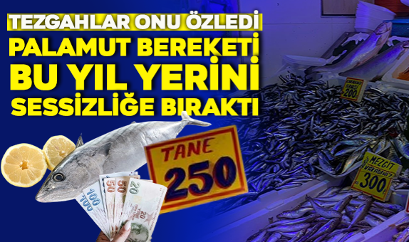 Palamut Bereketi Bu Yıl Yerini Sessizliğe Bıraktı