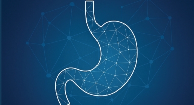 SAU'den Obeziteye Bilimsel Çözüm