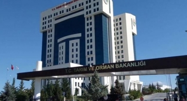 Tarım Ve Orman Bakanlığı Personel Alımı Ne Zaman? Tarım Ve Orman Bakanlığı Personel Alımı Başvuru Şartları Neler?