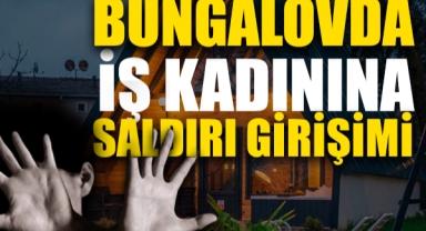 Genç Kadına Cinsel Saldırıda Bulundu: 