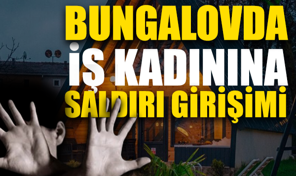 Genç Kadına Cinsel Saldırıda Bulundu: 