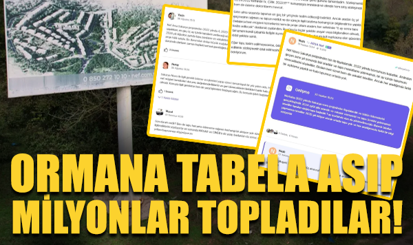 Ormana Tabela Asıp Milyonlar Topladılar