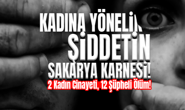 Kadına Yönelik Şiddetin Sakarya Karnesi
