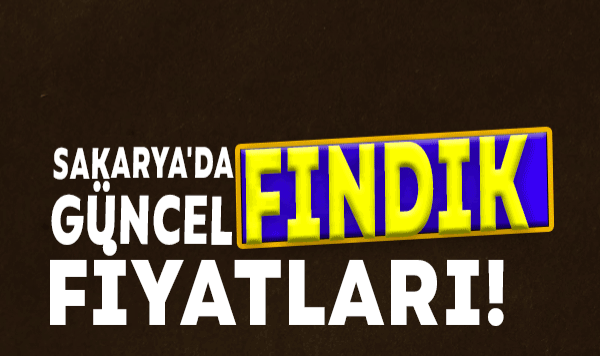 Sakarya'da Güncel Fındık Fiyatları!