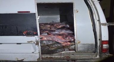 Adapazarı Gişelerinde 3 Ton Kaçak Sakatat Ele Geçirildi