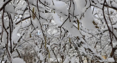 3 Günlük Don Kabusu Başlıyor!