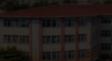 Okul Önünde Saldırdılar: 18 Yaşındaki Genç Feci Şekilde Darp Edildi