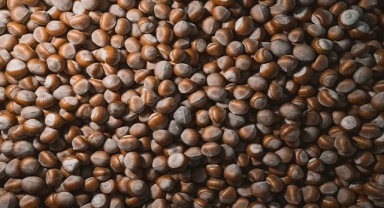 Piyasa Zayıf Umutlar Yeni Sezona Kaldı