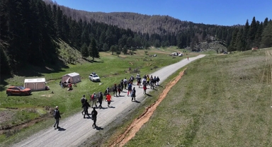 Renk Cümbüşü İçinde Yürüdüler