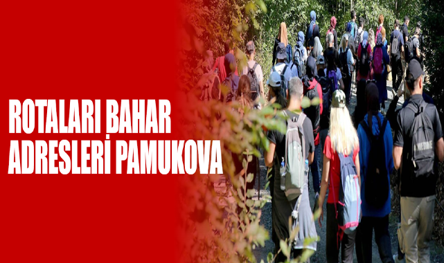 Renk Cümbüşü İçinde Yürüdüler