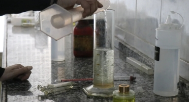 Sakarya'nın Kokusu Dünya Pazarında