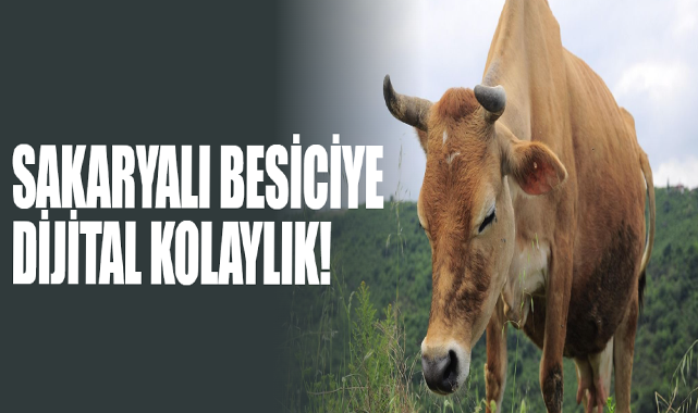 Sakaryalı Besiciye Dijital Kolaylık!