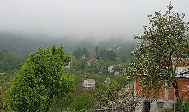 Hendek'in Yüksek Kesimlerinde Bahar Ve Sis Bir Arada