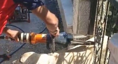 Demir Kapıya Sıkışan Köpeği İtfaiye Kurtardı