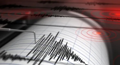 Japonya'da 7,1'lik Depremde 1 Kişi Öldü