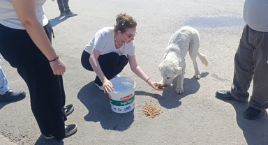 Mahsur Kalan Köpeğin Sesini Sadece O Duydu, Kurtarıldığında Gözyaşlarına Boğuldu