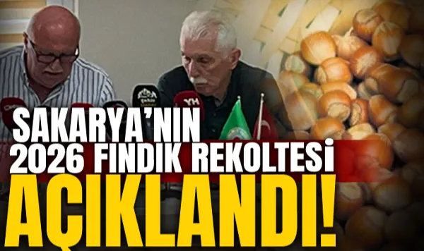 Sakarya'nın 2026 Fındık Rekoltesi Açıklandı!