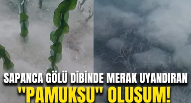 Sapanca Gölü Dibinde Merak Uyandıran