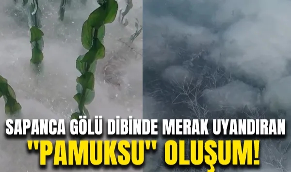 Sapanca Gölü Dibinde Merak Uyandıran