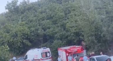 Traktöre Bağlı İlaçlama Motorunun Altında Kalan Kadın Hayatını Kaybetti