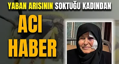 Yaban Arısının Soktuğu Kadından Acı Haber